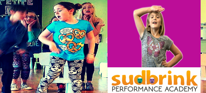 Sudbrink Performance Academy • NOW ENROLLING!