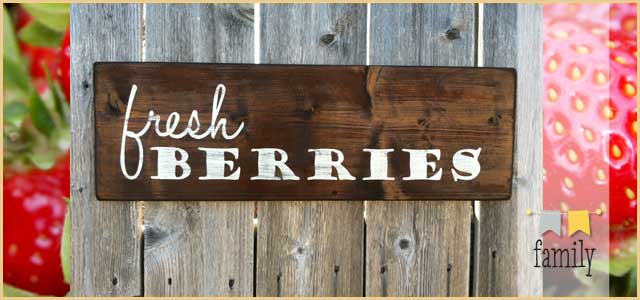Local you pick berries and and more in Southeast WI • The Lake Country Mom