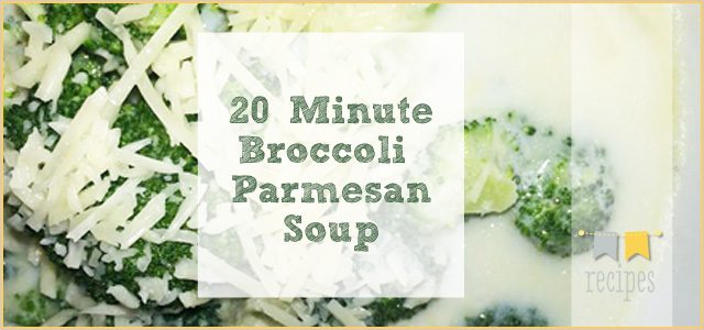 20 Minute Broccoli Parmesan Soup