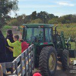 Tractor hayride at Schuett Farms • The Lake Country Mom