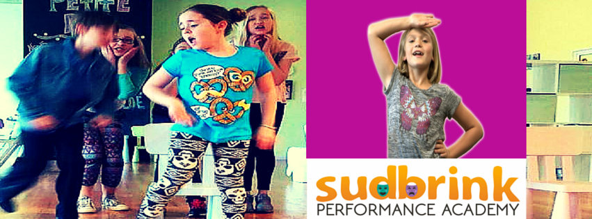 Sudbrink Performance Academy • NOW ENROLLING!