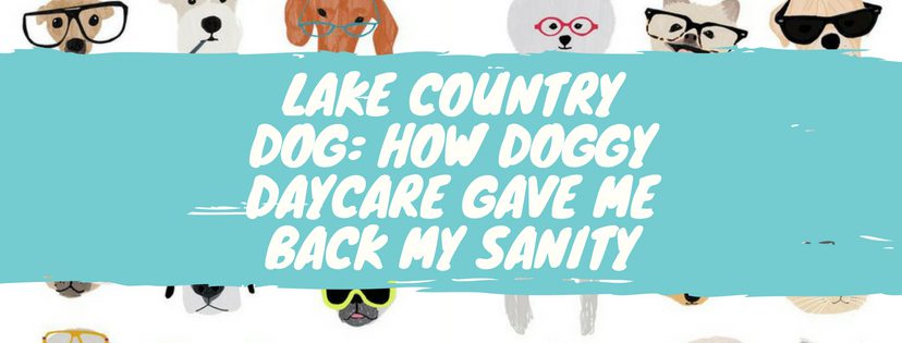 Lake Country Dog: How Doggy Daycare Gave Me Back My Sanity