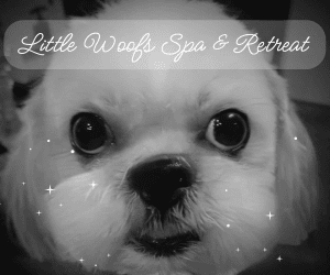 Little-Woofs-Spa-Retreat1.png