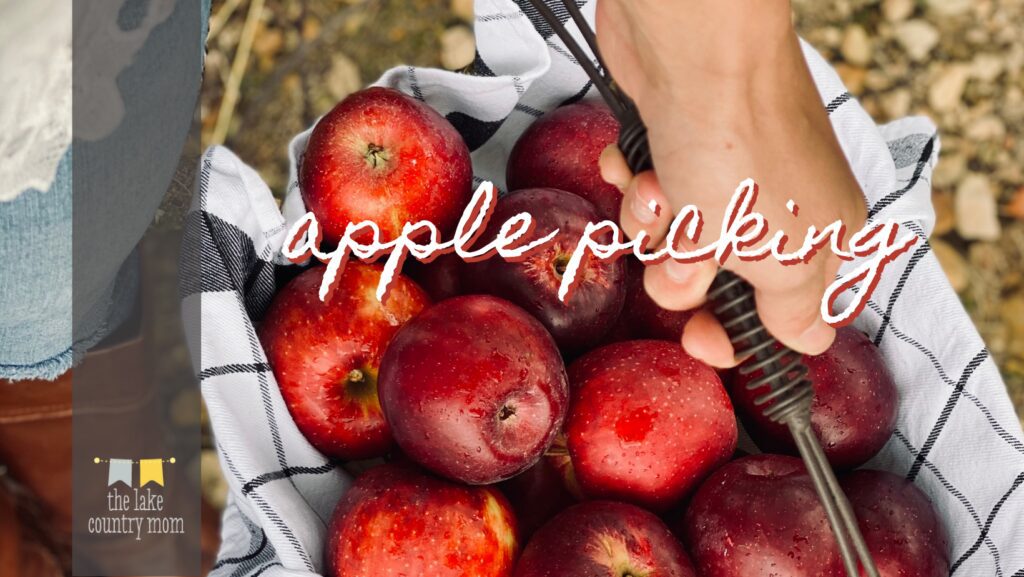 apple picking