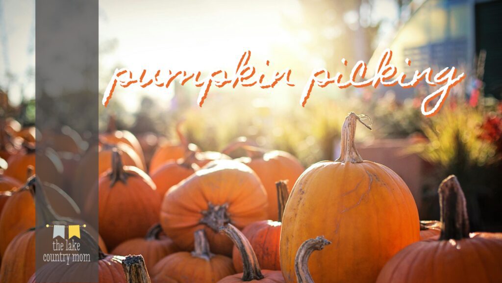 pumpkin picking