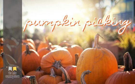 pumpkin picking